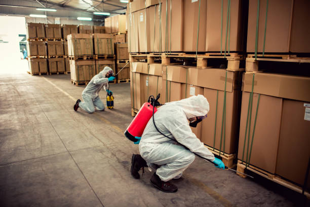 Best Exterminator Services  in Jemez Pueblo, NM