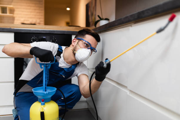 Pest Control Cost in Jemez Pueblo, NM