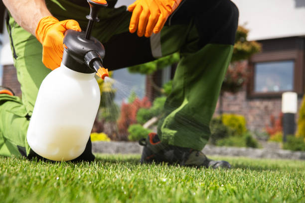 Best Mosquito Control Services  in Jemez Pueblo, NM