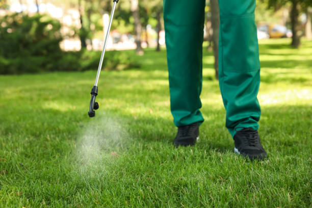 Best Affordable Pest Control Services  in Jemez Pueblo, NM