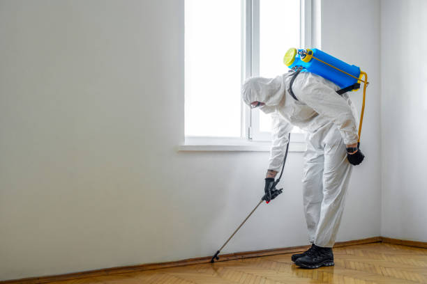 Best Pest Control Treatment  in Jemez Pueblo, NM
