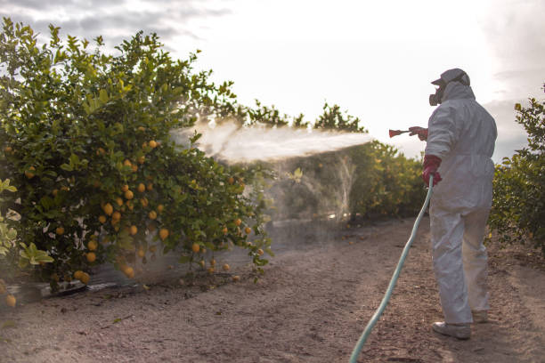 Best Residential Pest Control  in Jemez Pueblo, NM