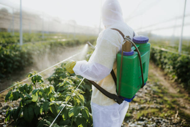Best Pest Control for Restaurants  in Jemez Pueblo, NM